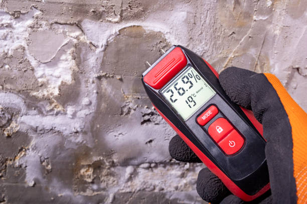 Best Mold Testing  in East Dubuque, IL