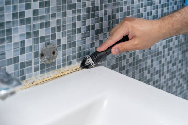 Best Home Mold Removal  in East Dubuque, IL