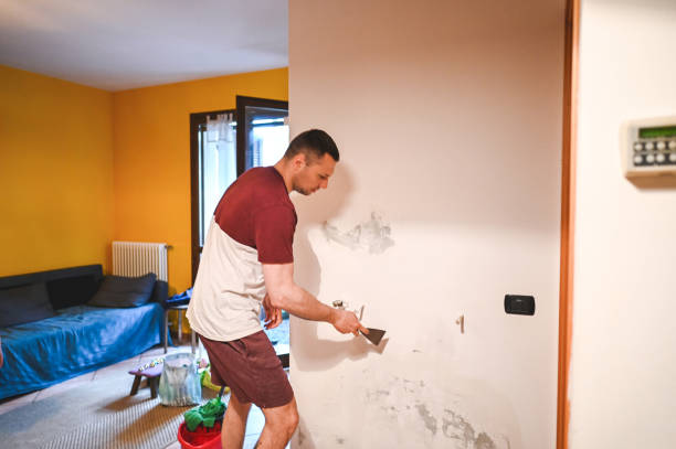 Best Mold Damage Repair  in East Dubuque, IL